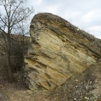 Geologischer Aufschluss im Muschelkalk auf der Schmücke nahe Harras